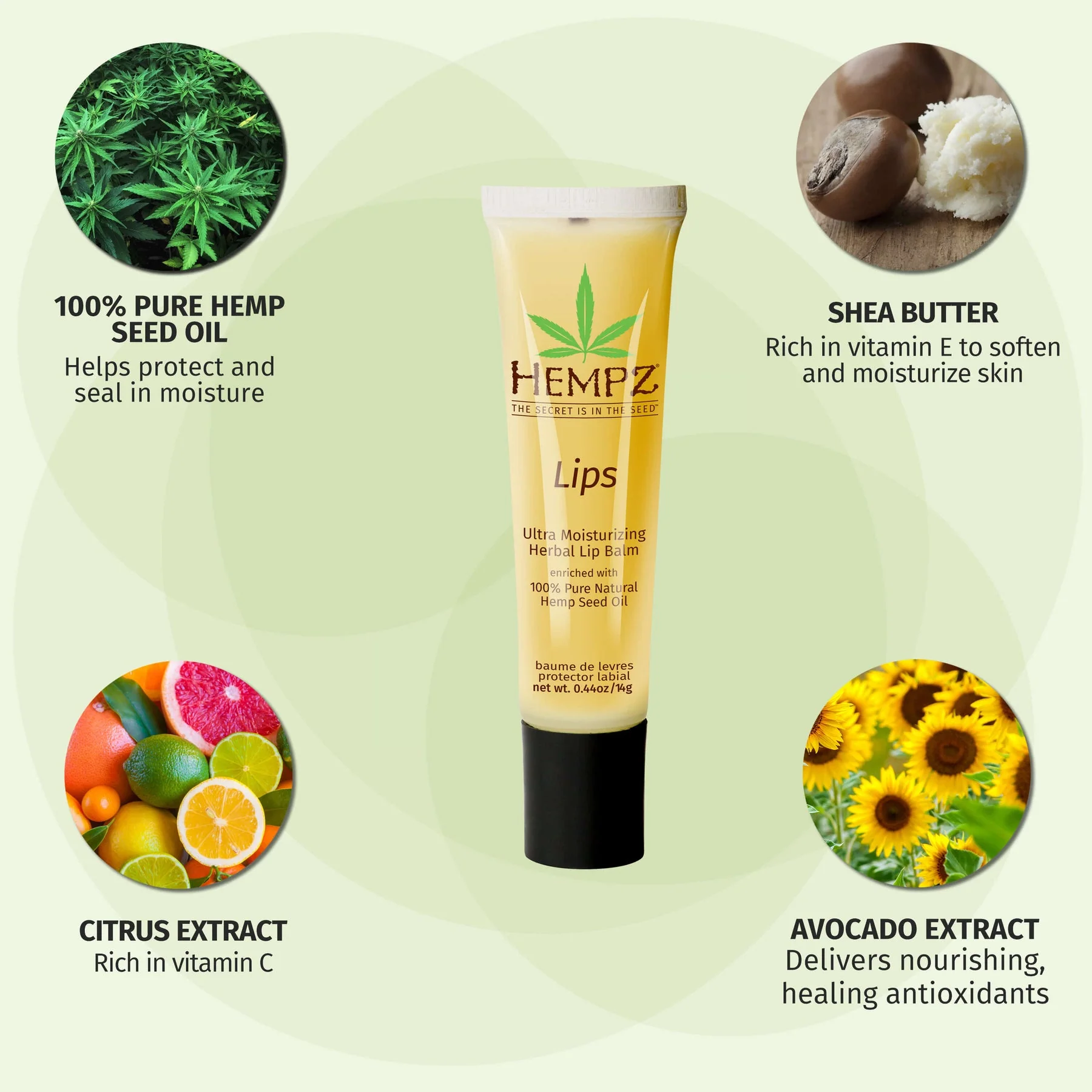 Hempz Daily Herbal Lip Balm - Image 4